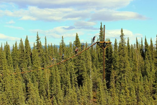 Denali Park Zipline Adventure - What the safety system means in practice