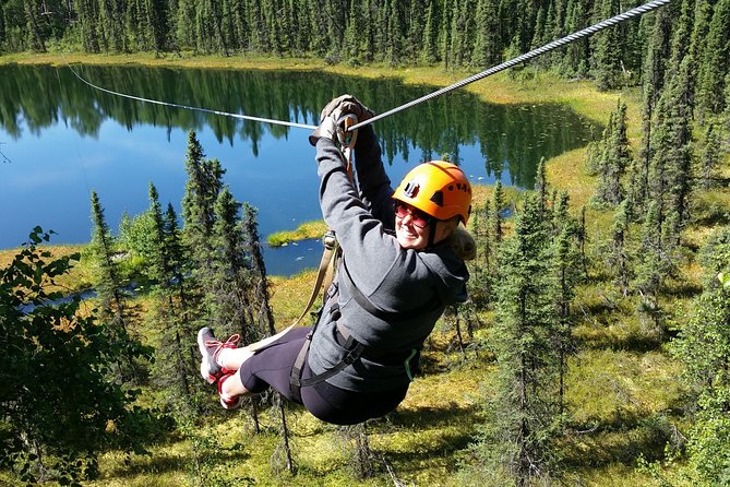 Denali Zipline Tour in Talkeetna, AK - Key points to know before you book