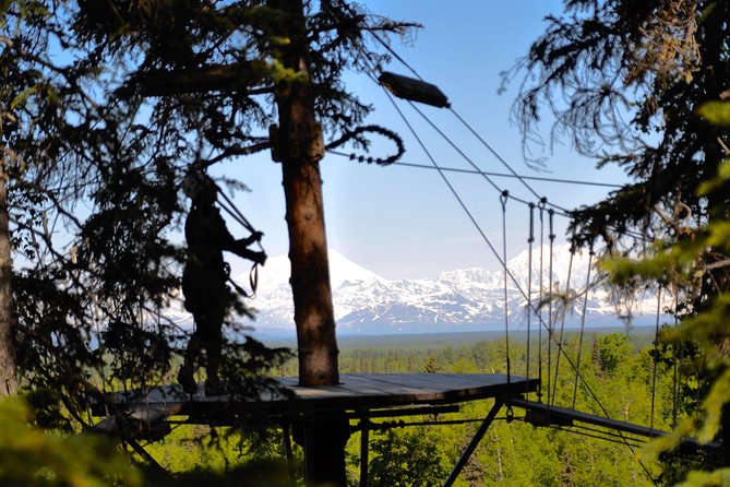 Denali Zipline Tour in Talkeetna, AK - Starting in Talkeetna, with Denali in the distance