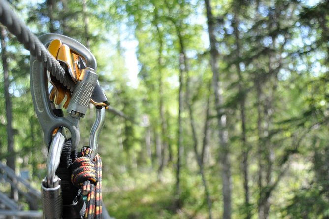 Denali Zipline Tour in Talkeetna, AK - Bridges and stairs keep the course varied
