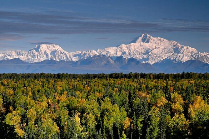 Denali Zipline Tour in Talkeetna, AK - Practical details that can affect your decision