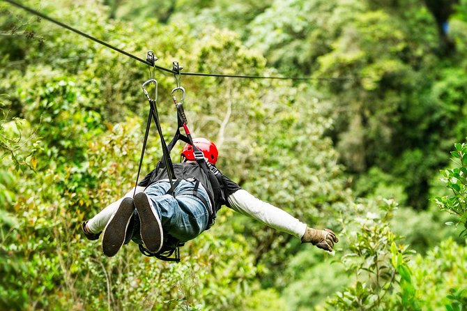 Drive An Atv, Live The Experience Of Ziplining And Swim On A Real Cenote - Who will enjoy this most?
