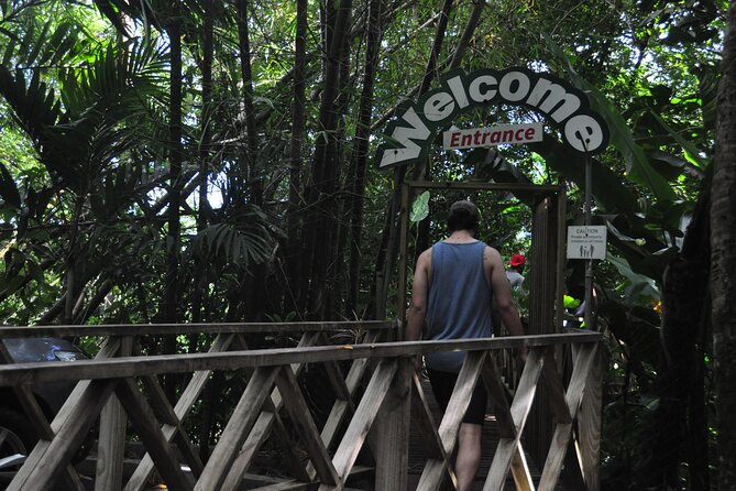 Drive and Fly - Buggy and Zipline - The waterfall detail and what to expect