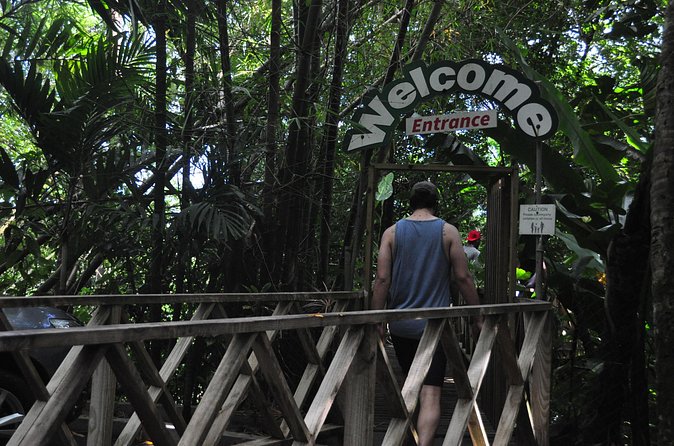 Drive and Fly - Buggy and Zipline - Who should book this experience?