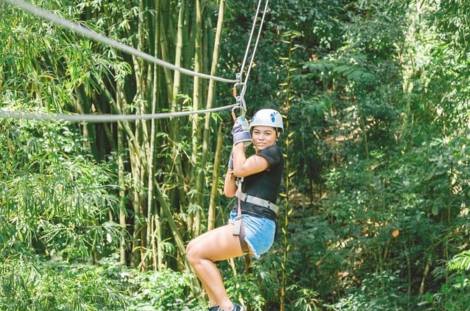 Dunn's River Falls and Park Tour with Zip Line from Montego Bay - Private transportation from Montego Bay