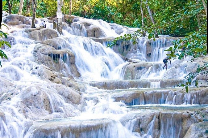 Dunn's River Falls and Park Tour with Zip Line from Montego Bay - The guide and the tone of the day