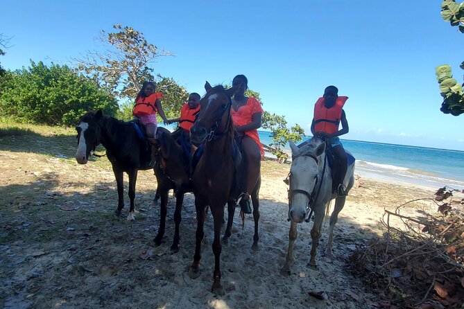 Dunn's River Falls Climb, Zipline and Horseback Riding Private Tour - Dunn’s River Falls, where the real work begins