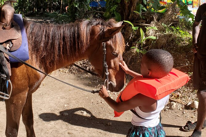 Dunn's River Falls Climb, Zipline and Horseback Riding Private Tour - Is $295 per person a fair price?
