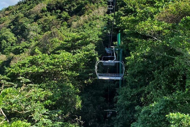 Dunn’s River Falls,Zip lining & horseback riding Combo tour from Montego Bay - Who will enjoy this tour most