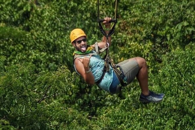Dunn’s River Falls,Zip lining & horseback riding Combo tour from Montego Bay - From Montego Bay to the rain forest