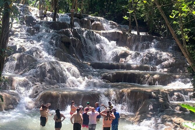 Dunn's River Falls, Zipline Adventure from Kingston - Key points to know before you book
