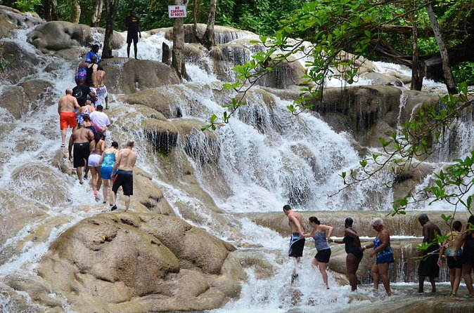 Dunns River Falls and Zipline Adventure from Ocho Ríos - The guide matters more than the brochure