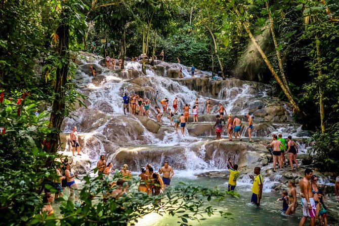 Dunns River Falls, Zipline, Bamboo Rafting, Horseback Ride Tour - Who should book this day?