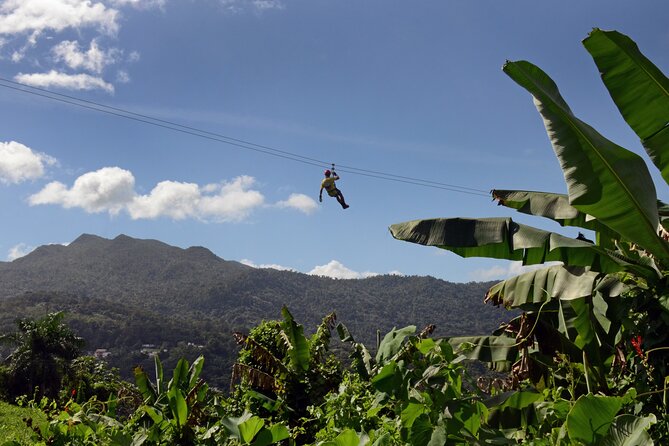 El Yunque Ziplining in Puerto Rico - Five ziplines with a rainforest setting
