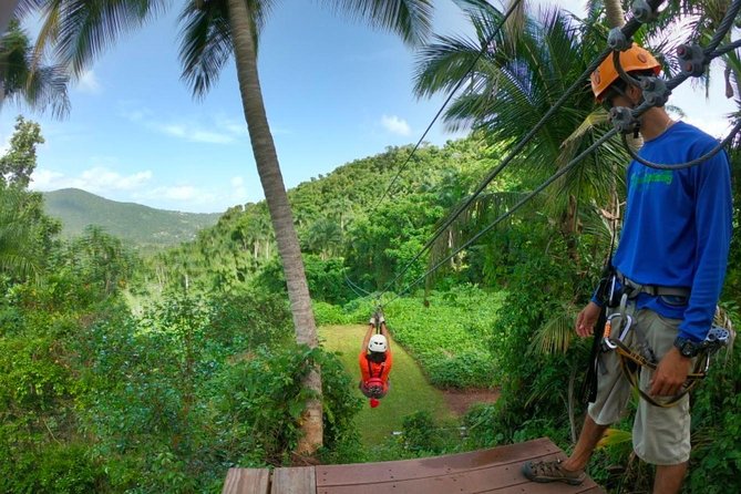 El Yunque Ziplining in Puerto Rico - Family suitability and weight rules