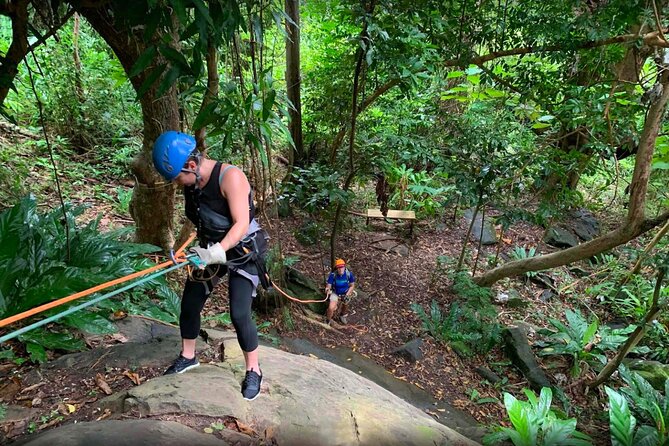 El Yunque Ziplining in Puerto Rico - Who should book this El Yunque adventure