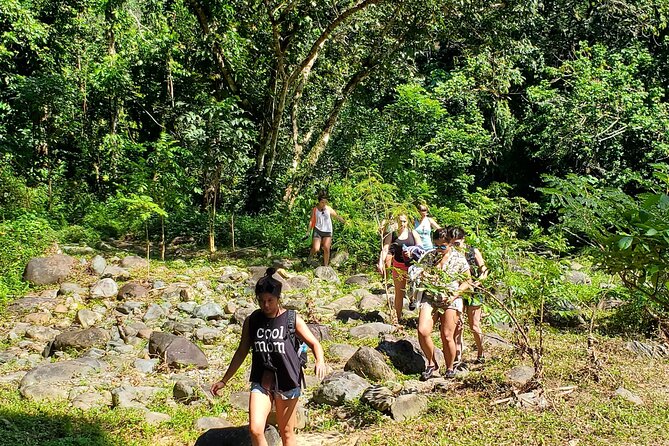 El Yunque Ziplining with River and Beach Visit - Flying through El Yunque near San Juan