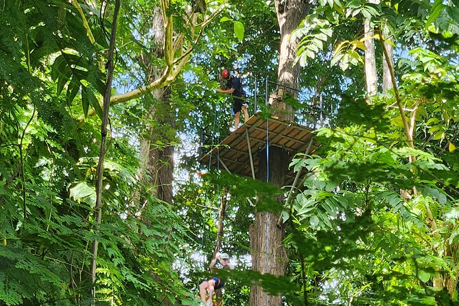El Yunque Ziplining with River and Beach Visit - Is $188 a fair price?