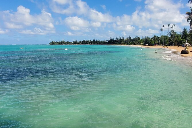 El Yunque Ziplining with River and Beach Visit - What the rappels and safety setup feel like