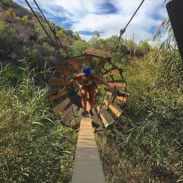 Ensenada: A thrilled family adventure of ziplines - What the strongest praise tells you