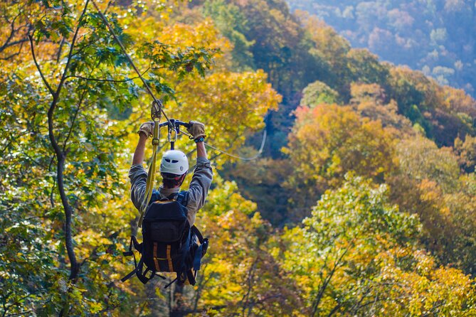 Epic Zipline Canopy Tour - The Gorge Zipline: Saluda, NC - Lines 5 and 6 Bring the Big Views