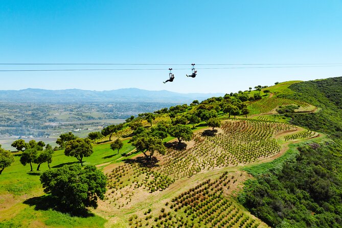 Epic Zipline Tour near Santa Barbara - Key points to know before you book