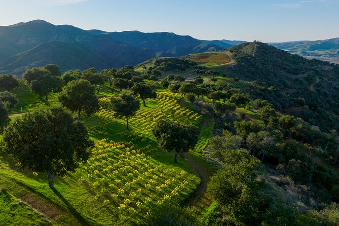 Epic Zipline Tour near Santa Barbara - Who should book this experience