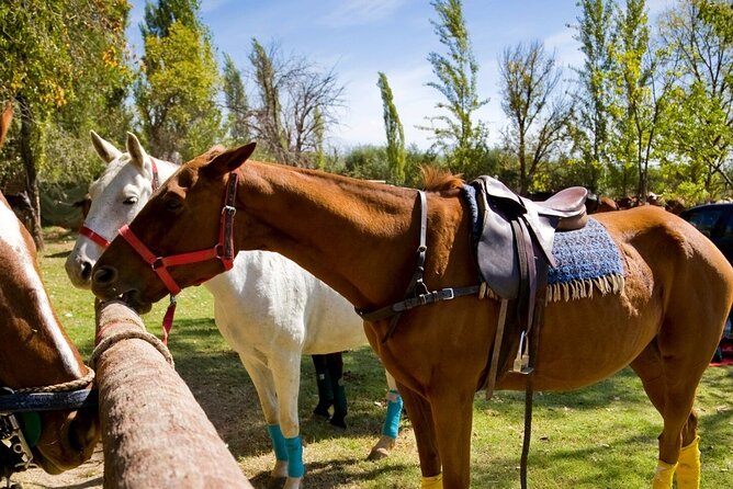 Extreme Horses Adventure with ATV, Ziplines & Cenote - What to pack, and what to leave behind