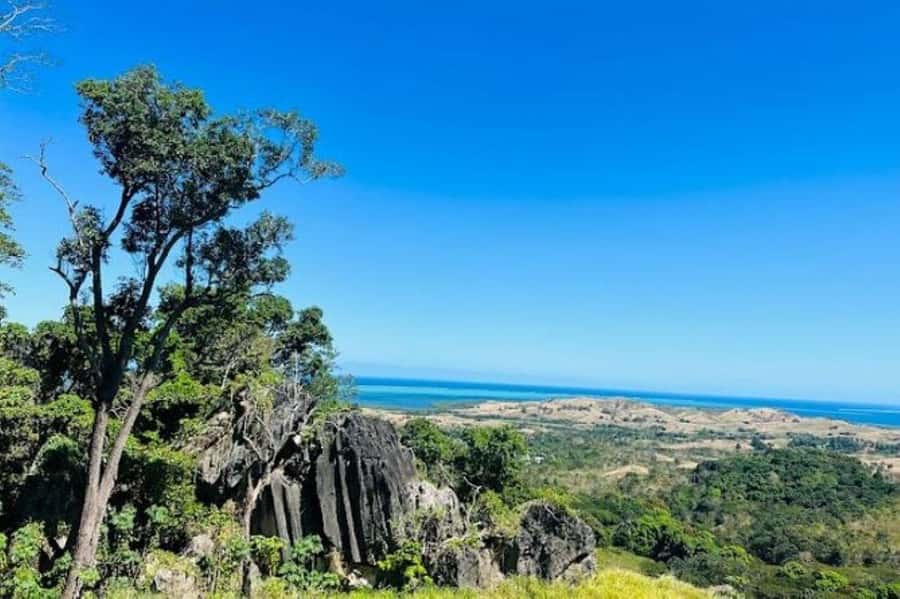 Fiji: Zipline Adventure and Cave Exploration - Should you book the Fiji Zipline and Cave Adventure?