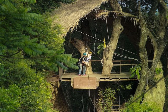 Flying Hanuman Zipline Adventure – Soar Through the Jungle! - What the forest setting adds