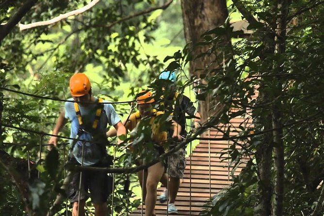 Flying Hanuman Ziplines 42 platform With Lunch - A closer look at the activity sequence