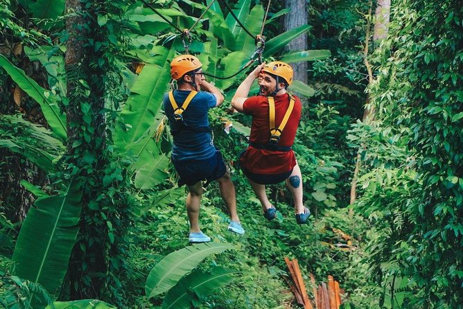 Flying Hanuman Ziplines 42 platform With Lunch - Price, transport, and what you actually pay