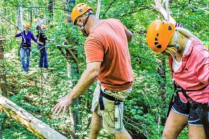 Fontanel Zipline Forest Adventure at Nashville North - Key points at a glance