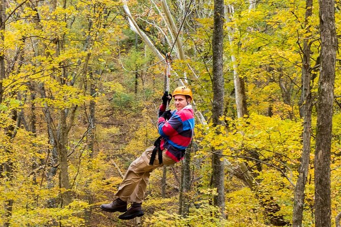 Fontanel Zipline Forest Adventure at Nashville North - Is $60.52 a fair price?