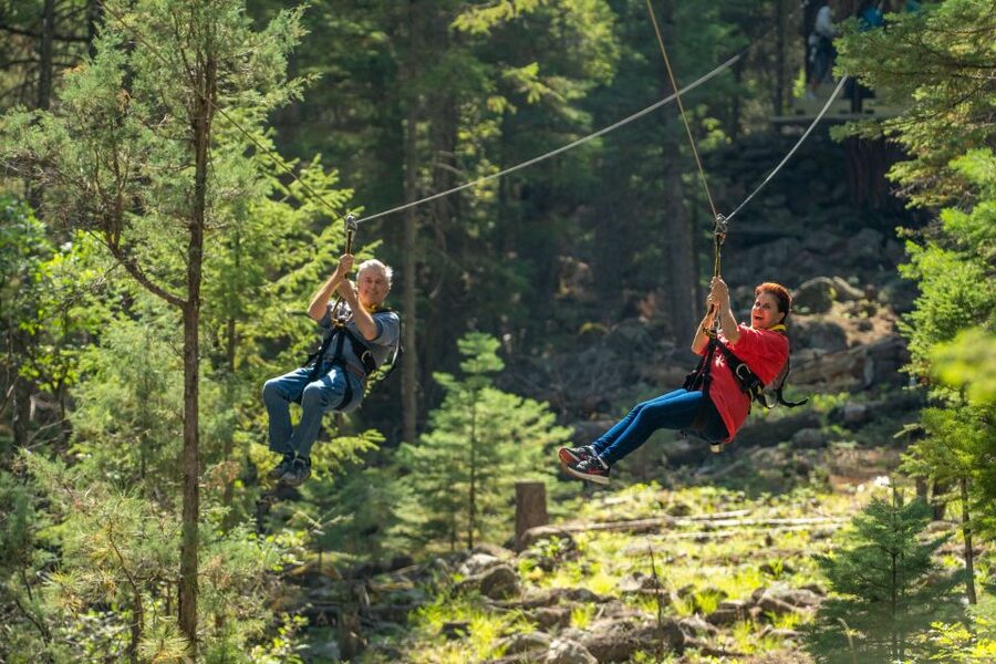 From Durango: All-Day Zipline Adventure with Train & Lunch - Twenty-seven ziplines and a long active session