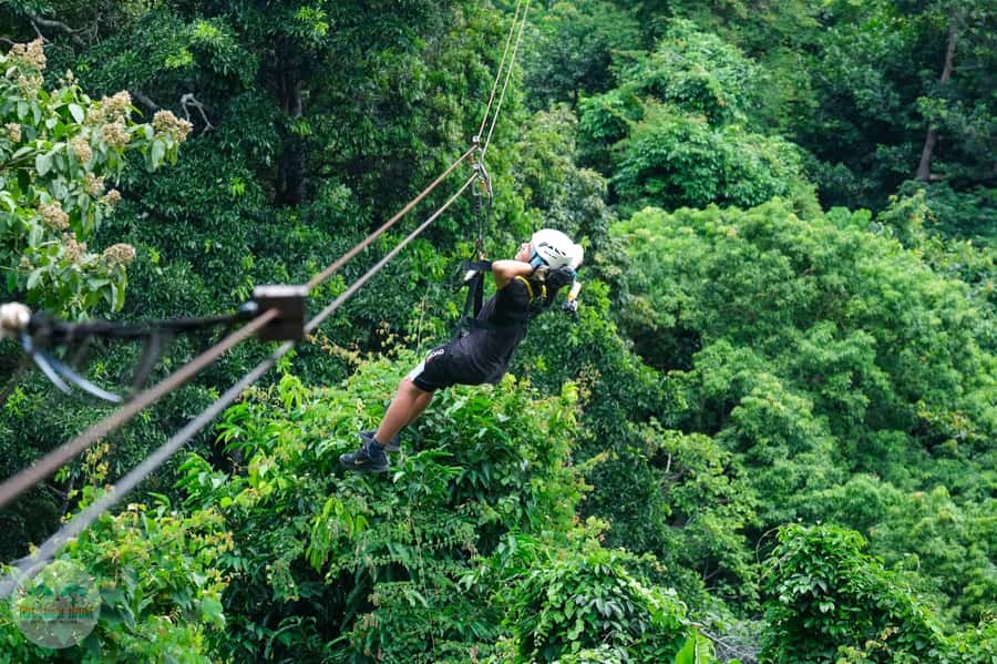 From Koh Samui: Tree Bridge Zipline and Café Experience - Who will enjoy it most?