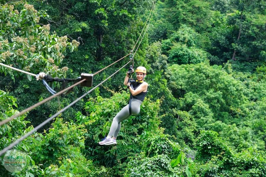 From Koh Samui: Tree Bridge Zipline and Café Experience - A jungle course with more than just ziplining