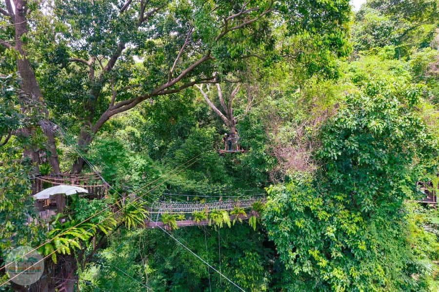 From Koh Samui: Tree Bridge Zipline and Café Experience - Bridges, abseiling, and the parts between the lines