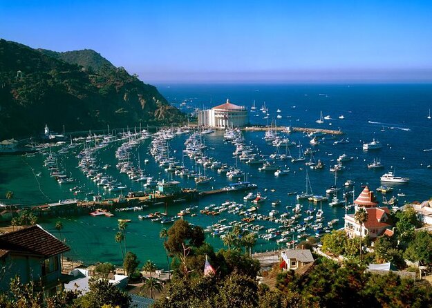 From LA: Catalina Island with Zipline Tour and Hotel Pickup - Key points to know before booking