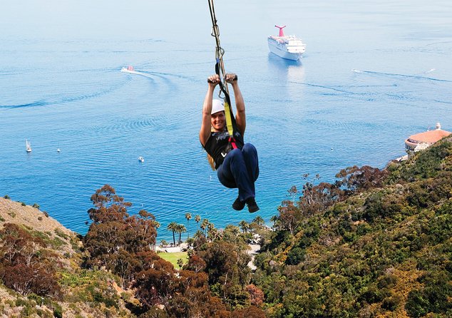 From LA: Catalina Island with Zipline Tour and Hotel Pickup - Eco-stations add meaning to the speed