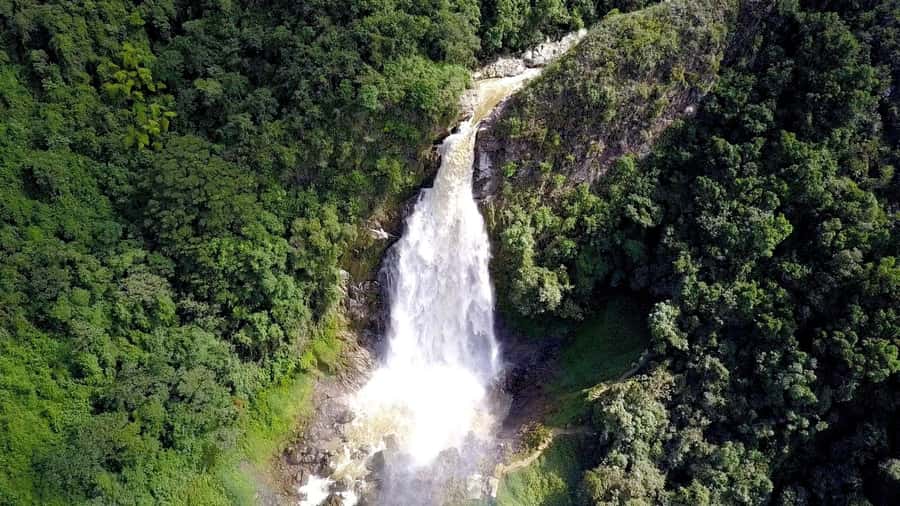 From Medellín: Dream Hammocks, Zipline, & Waterfall Day Trip - Should you book the Dream Hammocks day trip?