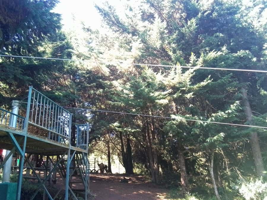 From Nairobi: Zipline Adventure Safari - Key points to know before you book