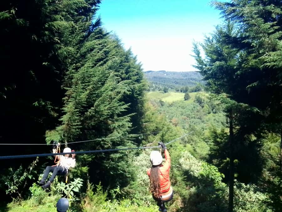 From Nairobi: Zipline Adventure Safari - Flying above Kereita Forest
