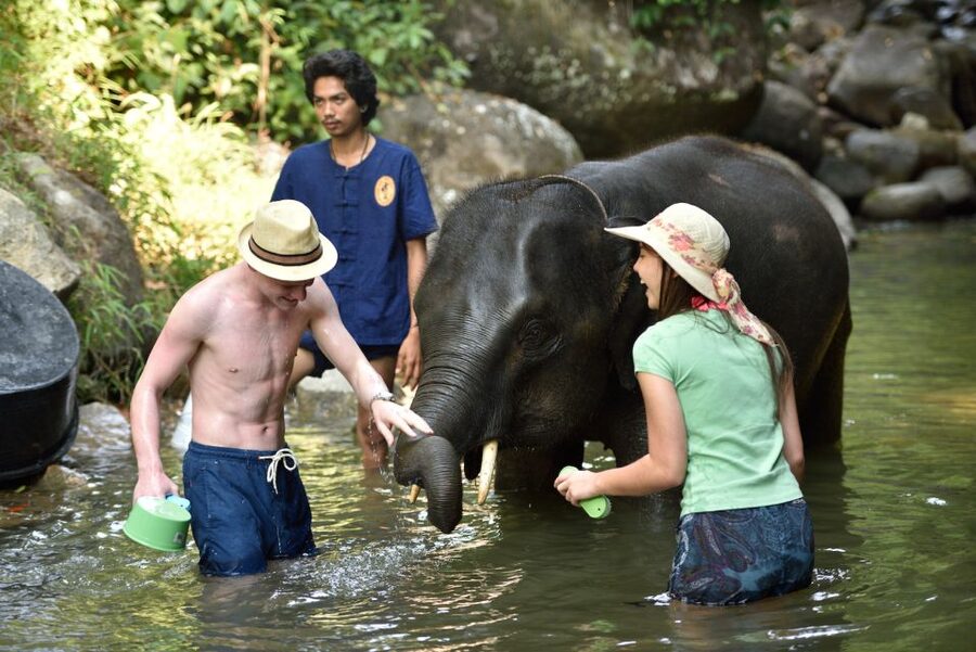 From Phuket: Elephant Care Experience with Rafting & Zipline - Is the $77 price good value?