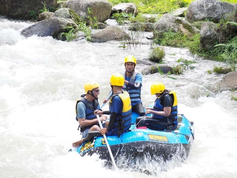 From Phuket: Elephant Care Experience with Rafting & Zipline - Why the elephants are the heart of the day