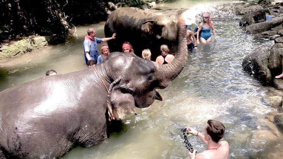 From Phuket: Elephant Care Experience with Rafting & Zipline - Guides can shape the whole experience