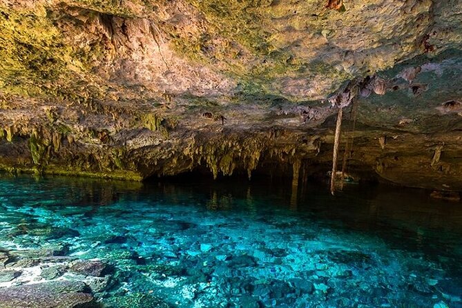 Full Day Adventure: Horses , ATV, Ziplines & Cenote w/Lunch - High zip lines above the trees