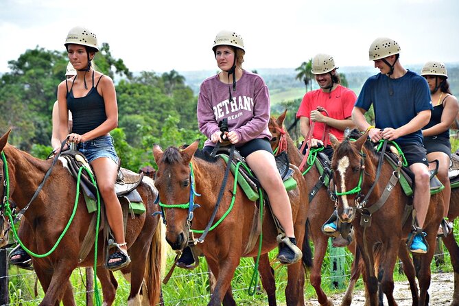 Full-Day La Hacienda Dune Buggy with Zipline & Horseback Activity - Cacao, coffee, cigars, and a typical Dominican home