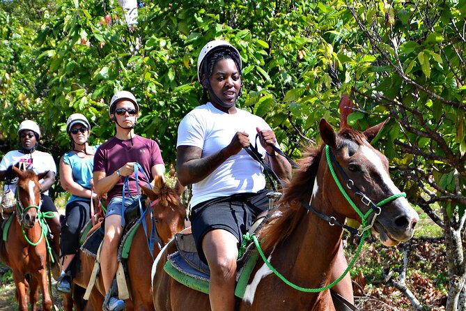 Full-Day La Hacienda Dune Buggy with Zipline & Horseback Activity - Finishing at Macao Beach