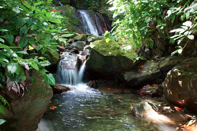 Full-Day Zipline and Waterfall Rappelling Adventure Near San Juan - The zipline return to basecamp